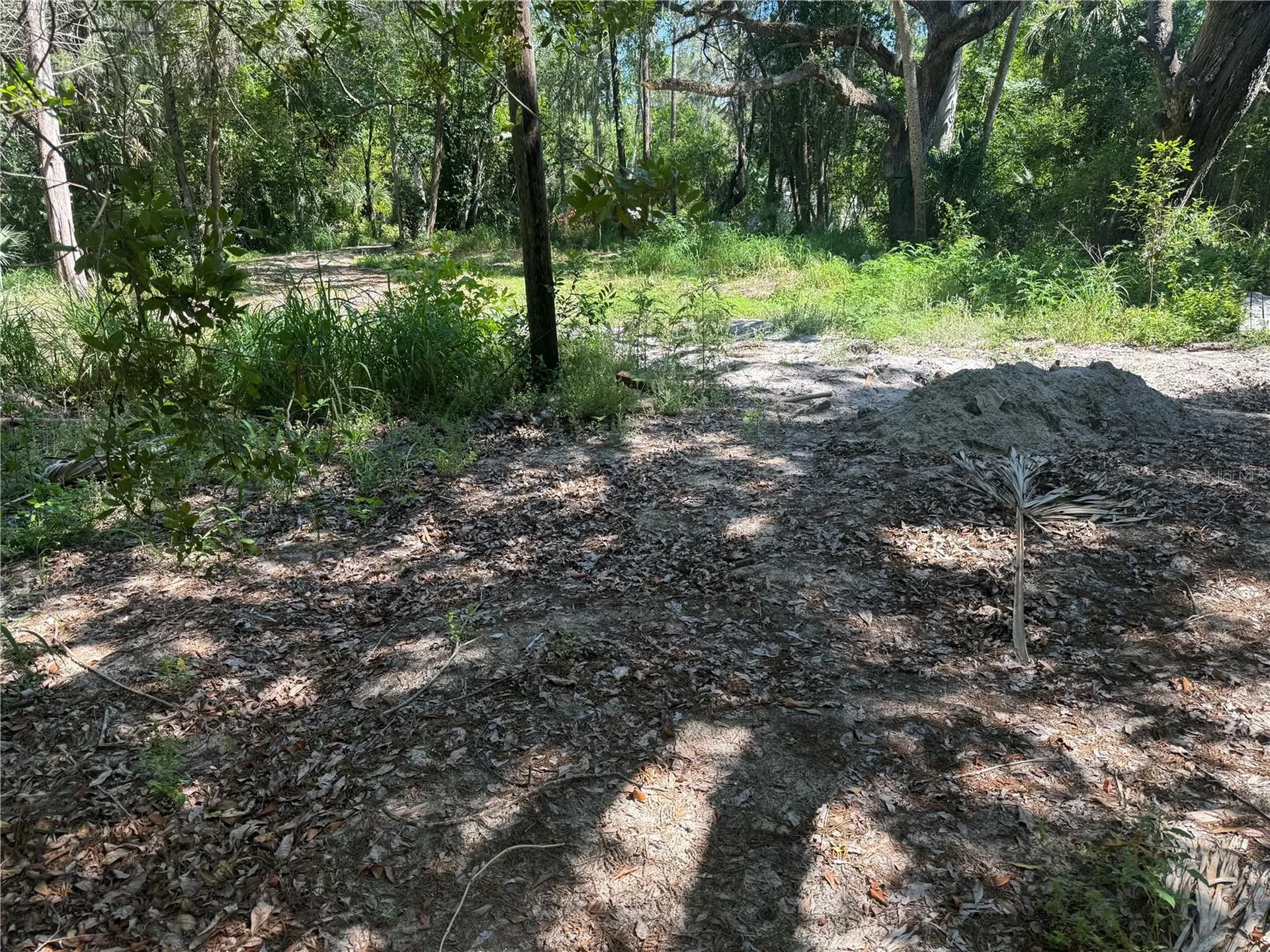 3621 Elfers Parkway New Port Richey FL 34655