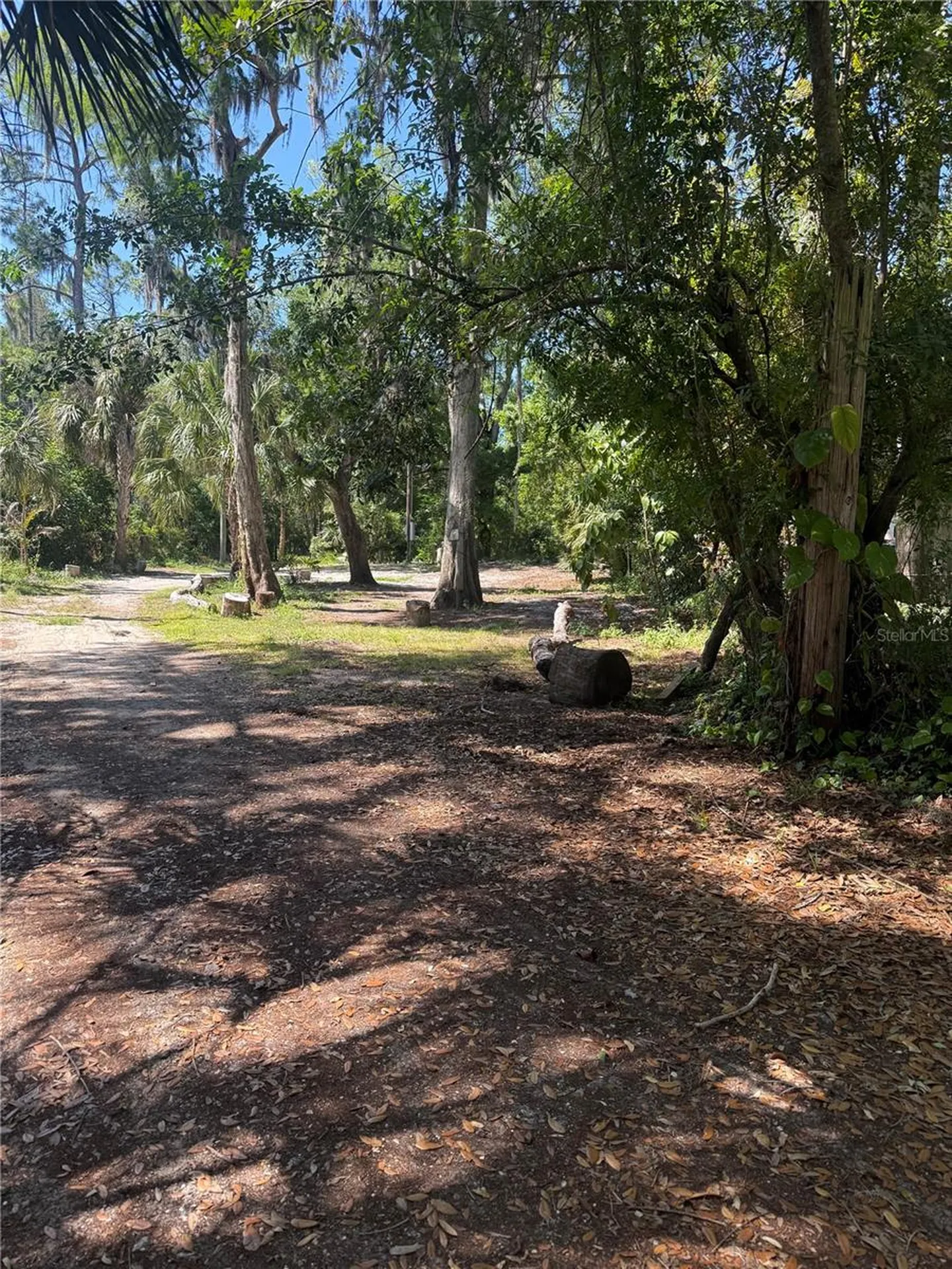 3621 Elfers Parkway New Port Richey FL 34655