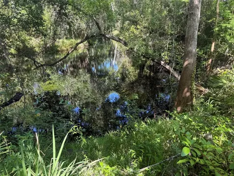 3621 Elfers Parkway New Port Richey FL 34655