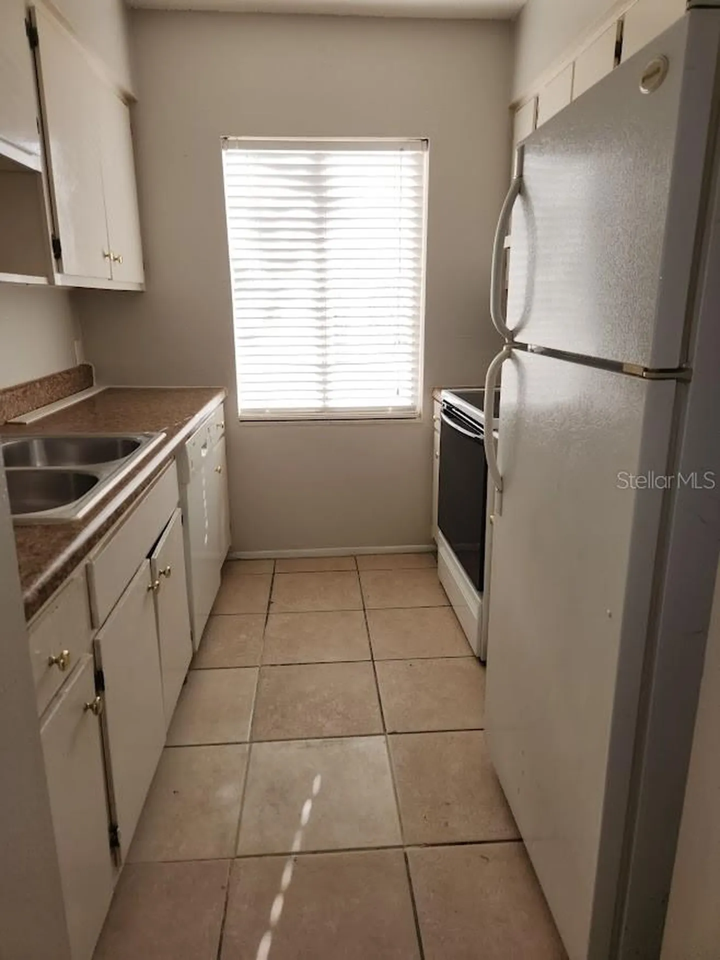 5507 Pokeweed Court Tampa FL 33617