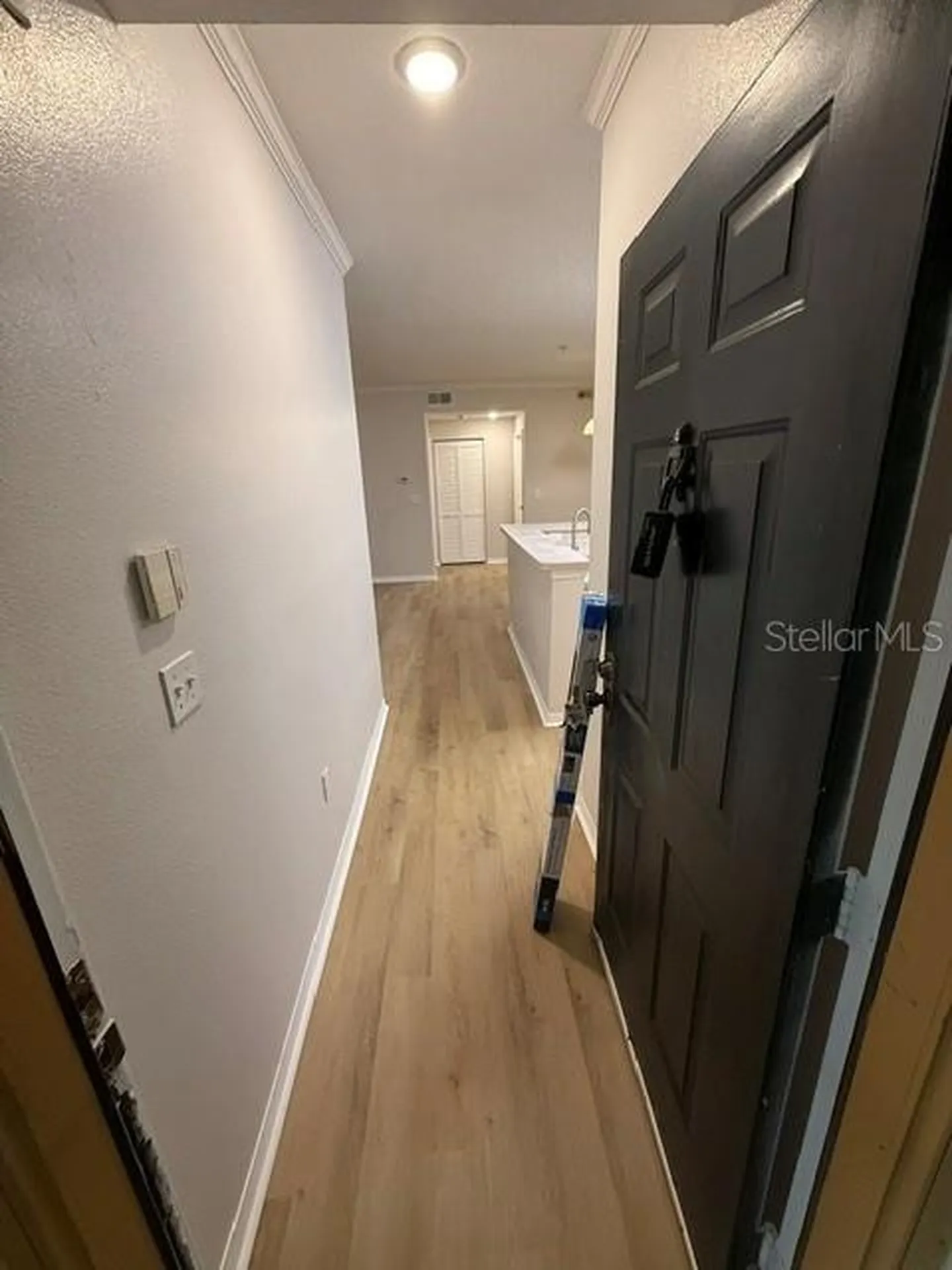 5608 Pinnacle Heights Circle Tampa FL 33624