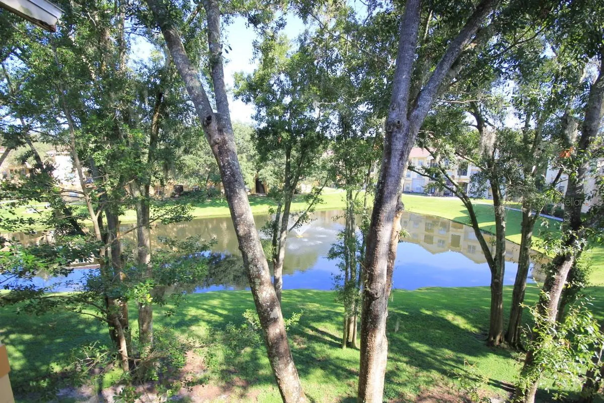 5608 Pinnacle Heights Circle Tampa FL 33624