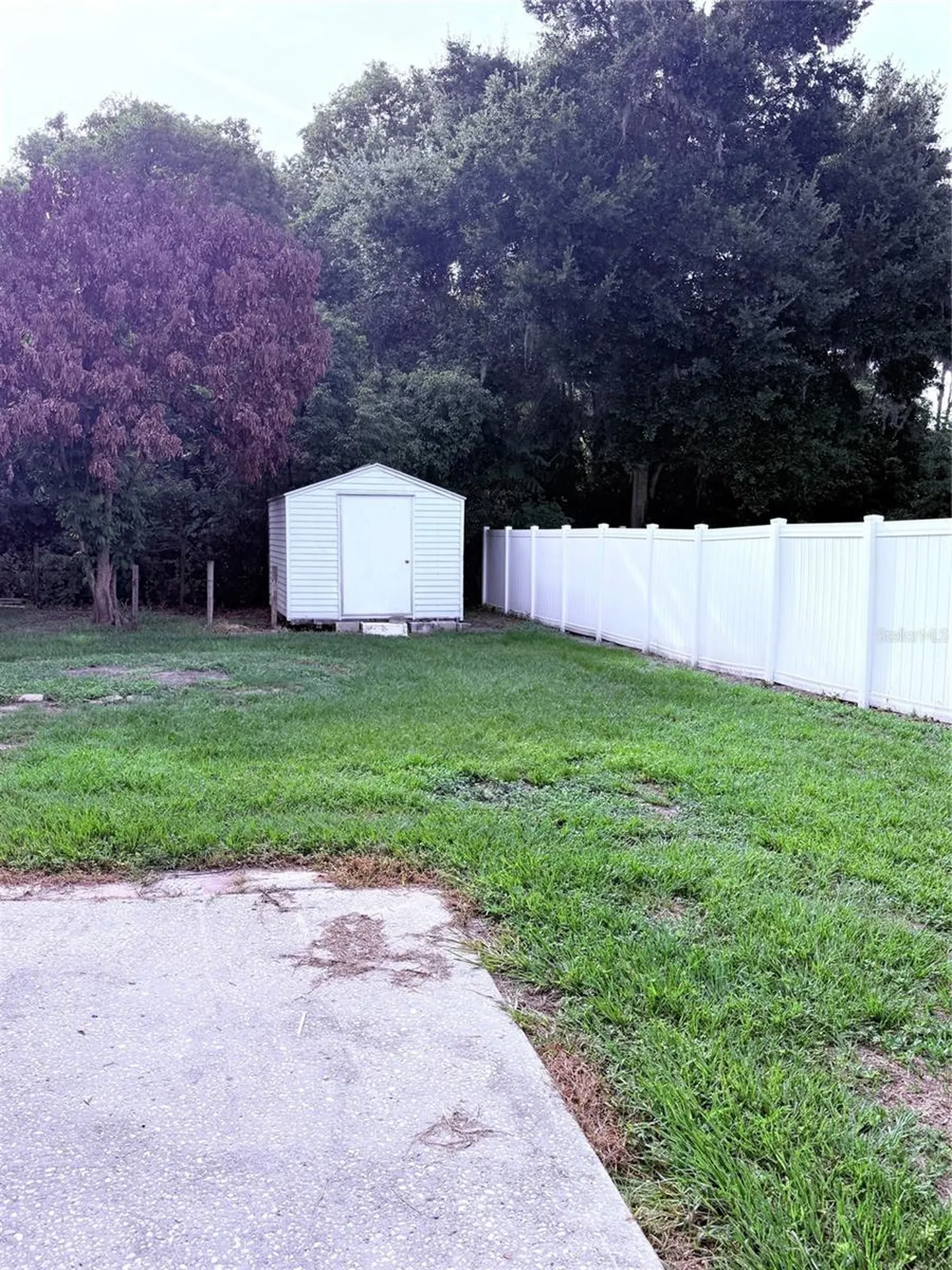 2554 Martha Lane Land O Lakes FL 34639