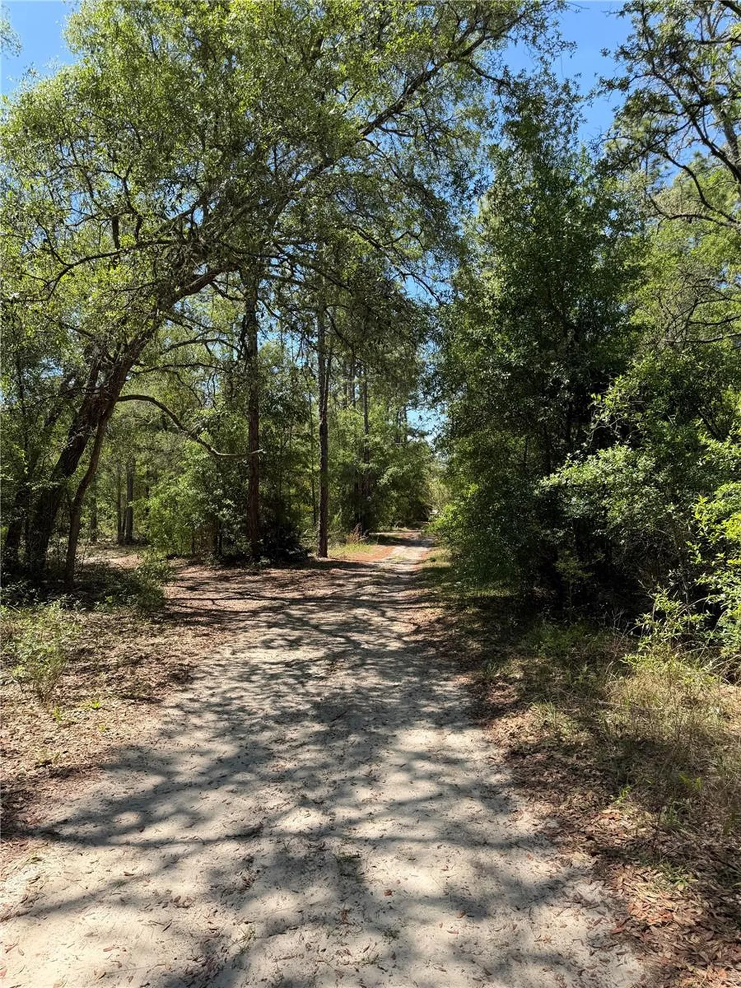 Tbd NE 107th Court Bronson FL 32621