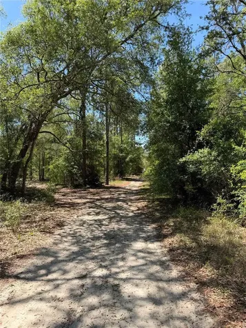 Tbd NE 107th Court Bronson FL 32621
