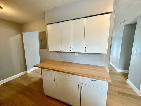 3045 Aaron Burr Avenue Winter Park FL 32792