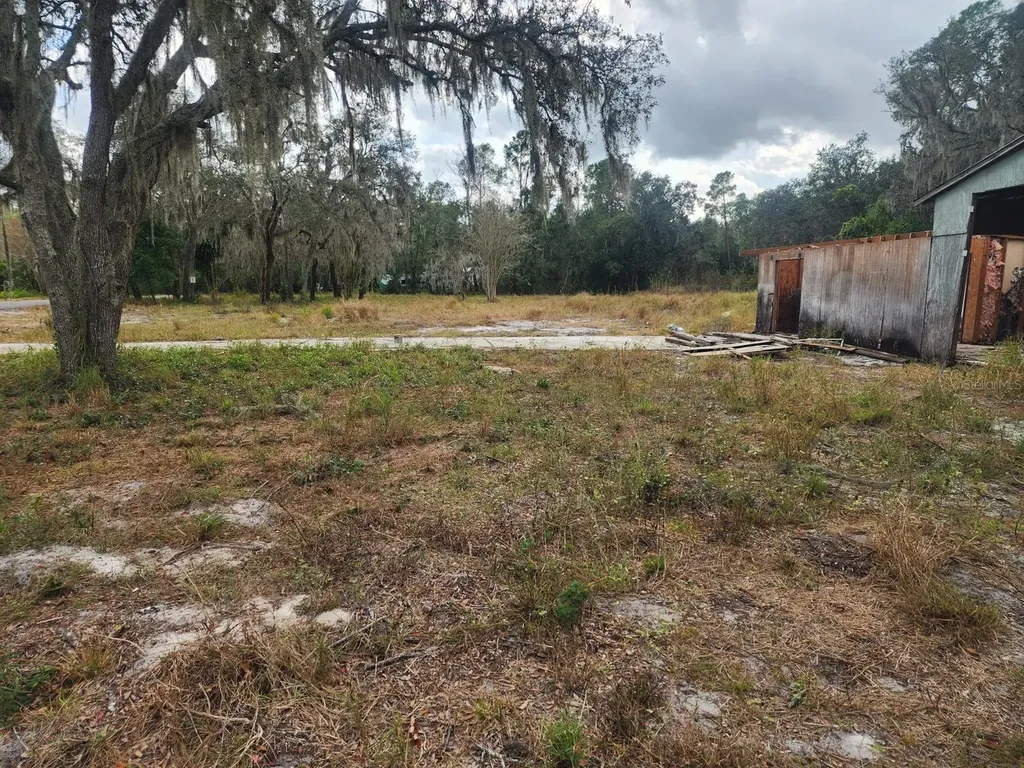 1409 Wilkinson Drive Plant City FL 33566