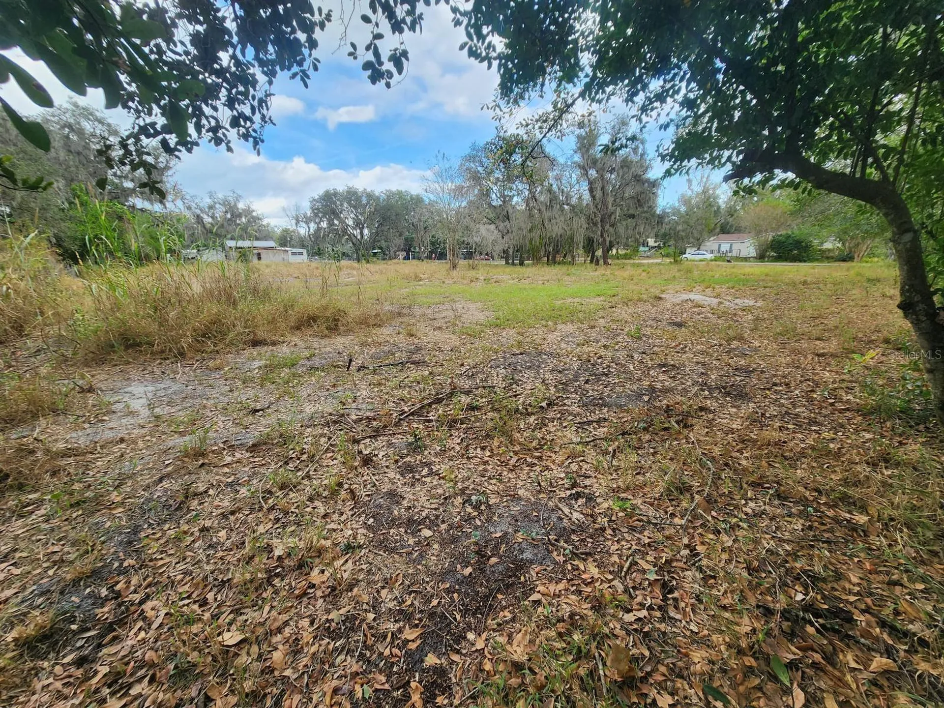 1409 Wilkinson Drive Plant City FL 33566