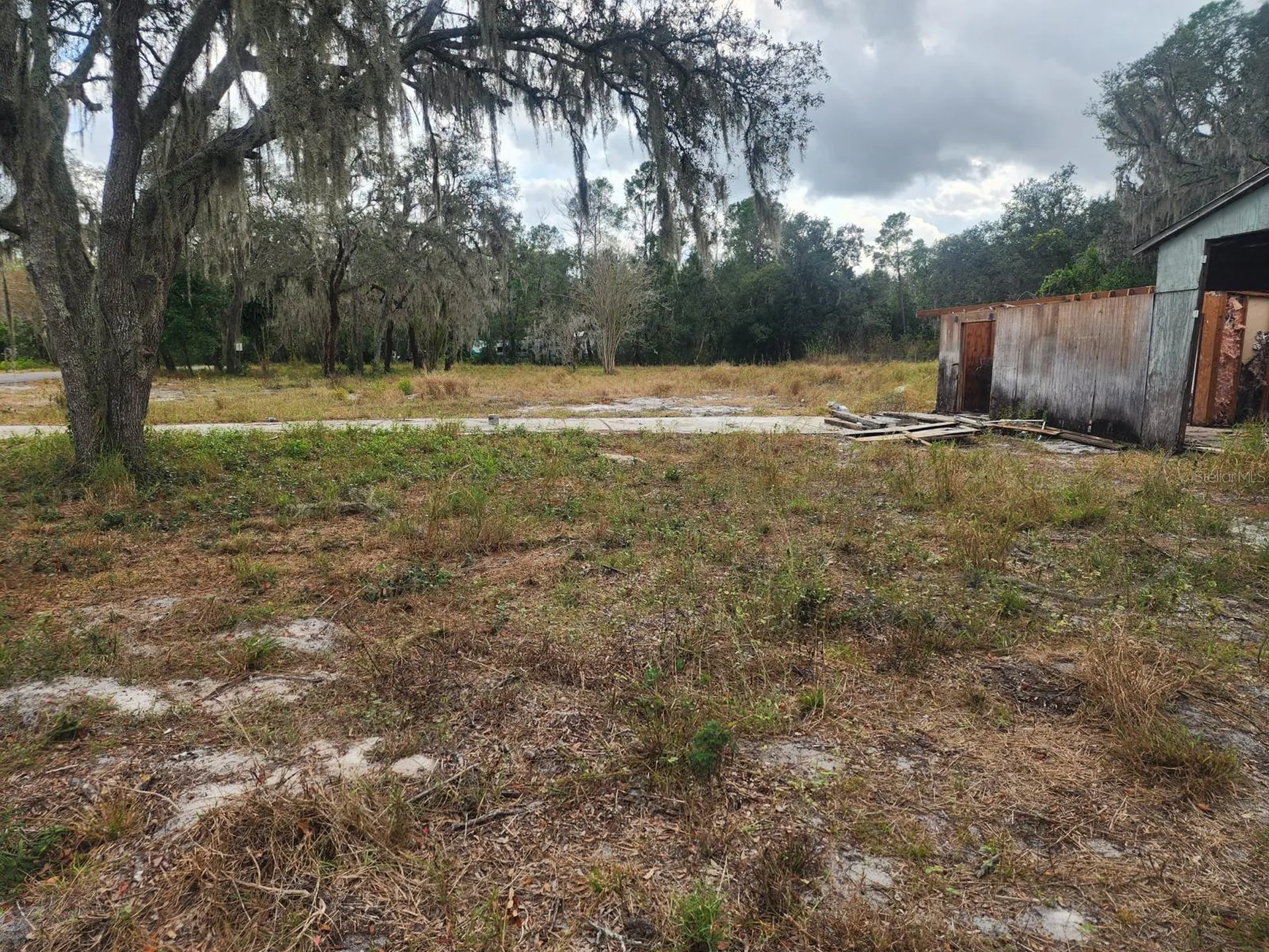 1409 Wilkinson Drive Plant City FL 33566