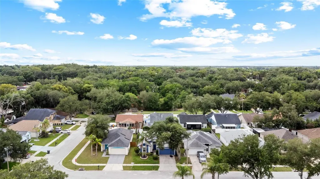 11019 Connacht Way Tampa FL 33610