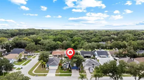 11019 Connacht Way Tampa FL 33610