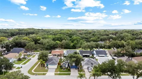11019 Connacht Way Tampa FL 33610