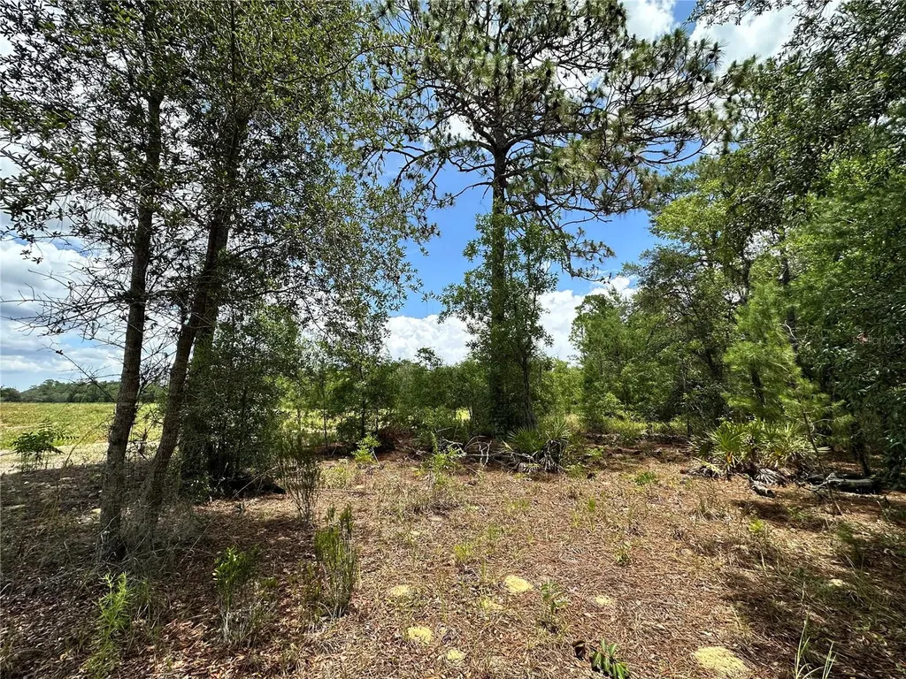 Tbd NE 69th Place Bronson FL 32621