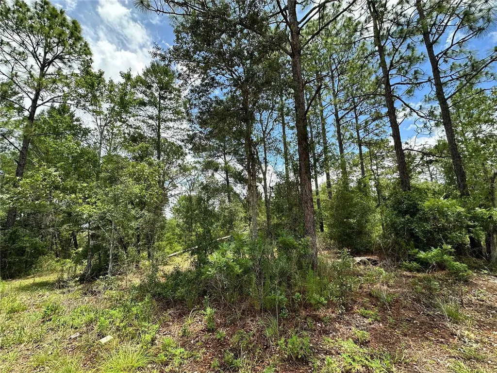 Tbd NE 69th Place Bronson FL 32621