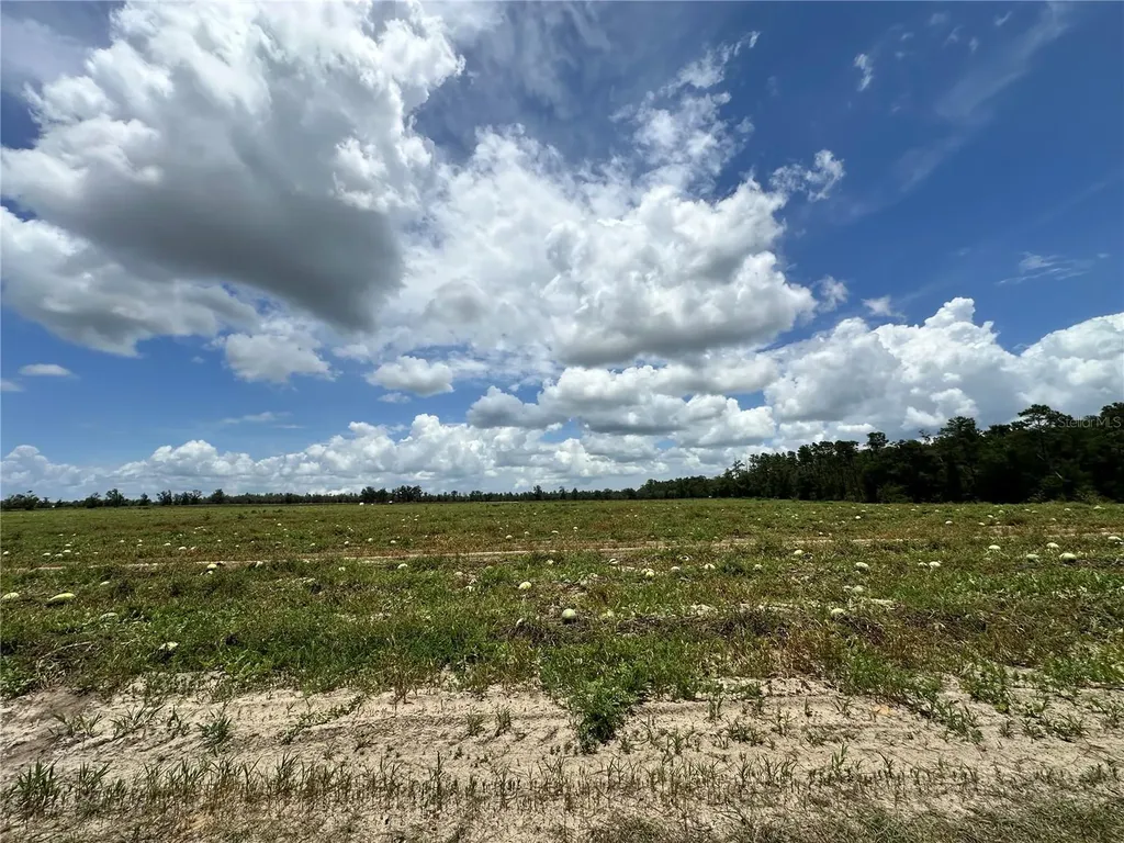 Tbd NE 69th Place Bronson FL 32621