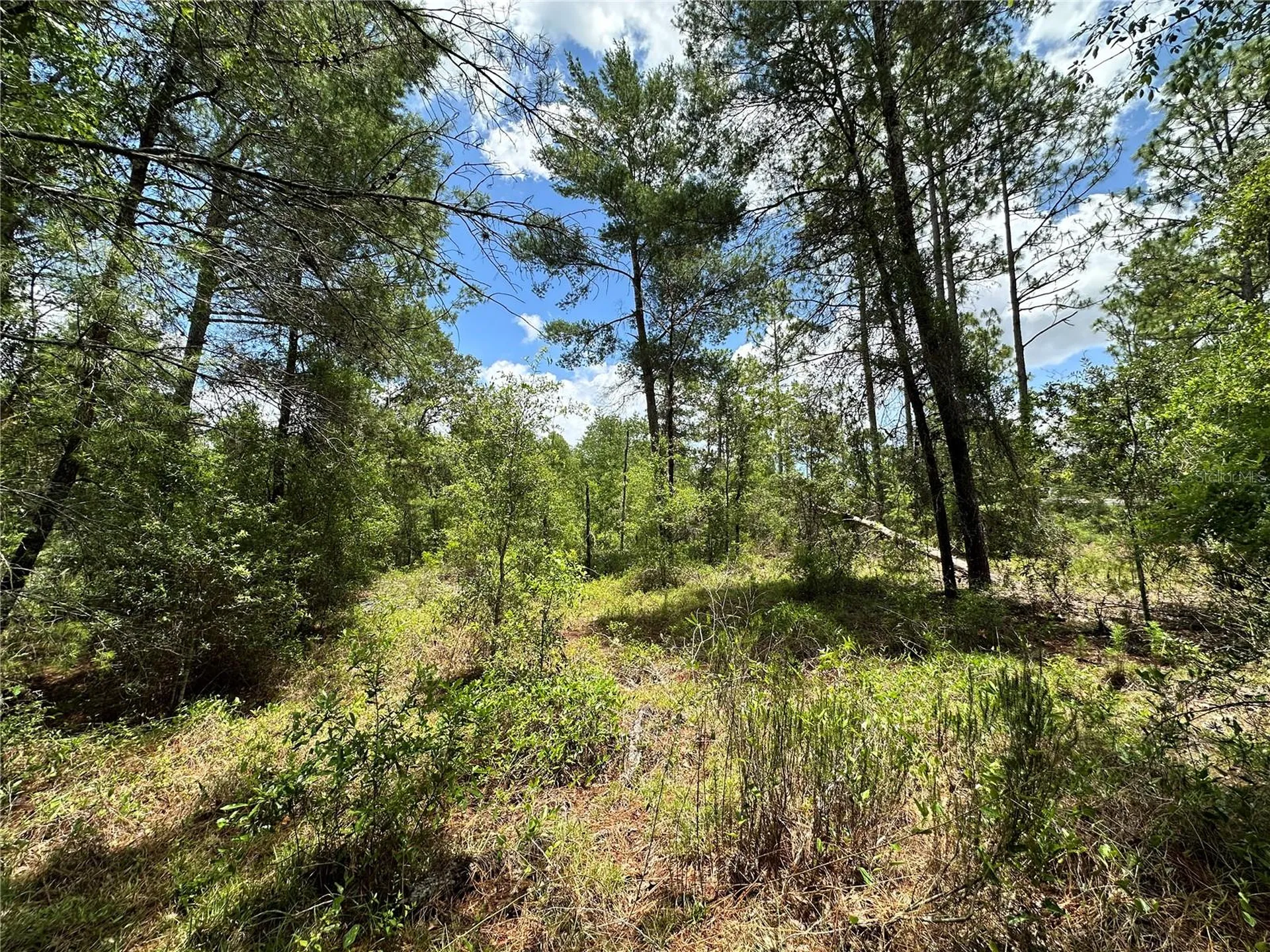 Tbd NE 69th Place Bronson FL 32621