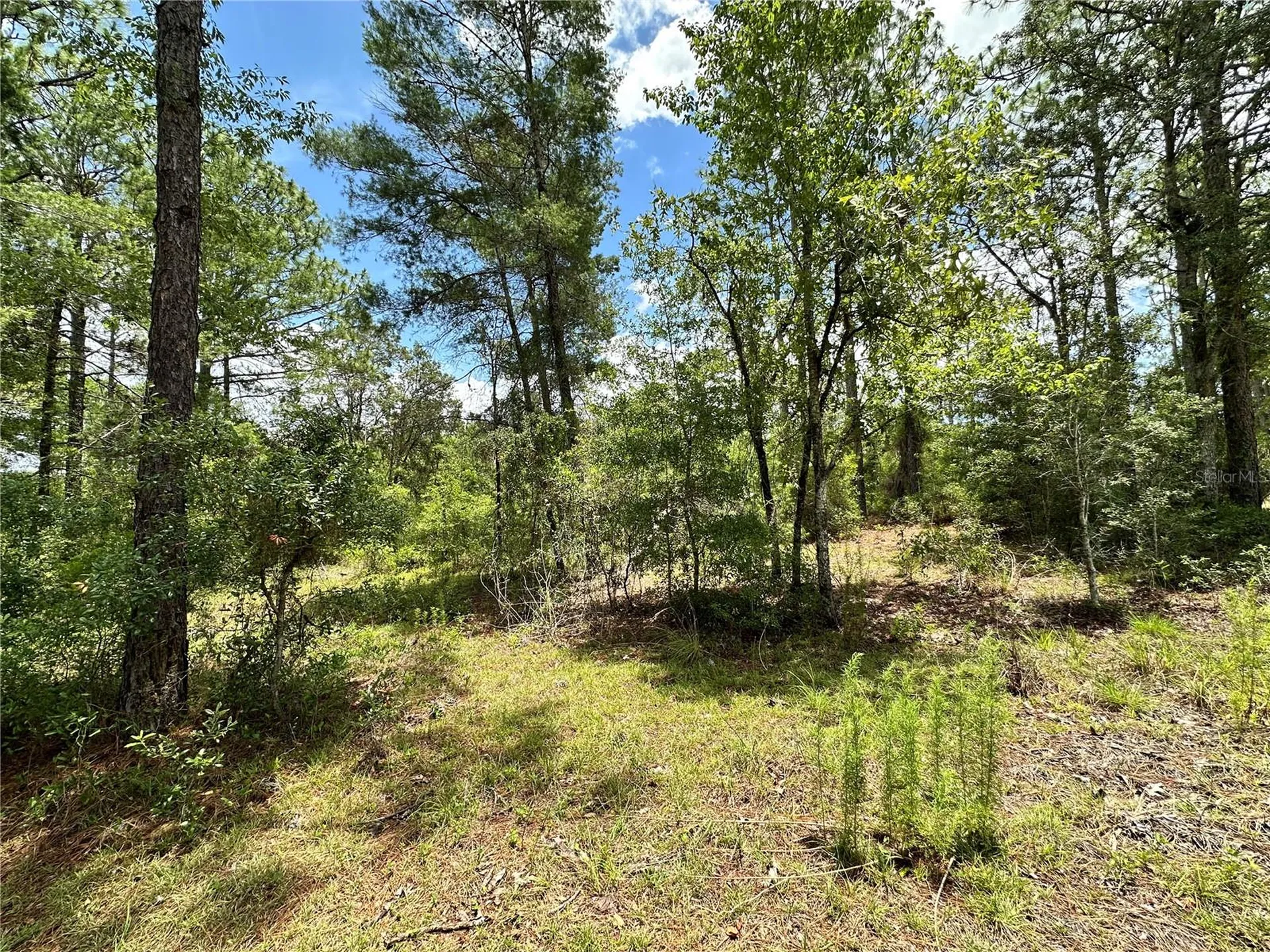 Tbd NE 69th Place Bronson FL 32621