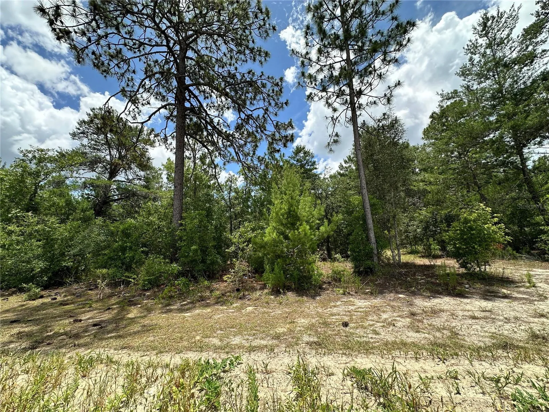 Tbd NE 69th Place Bronson FL 32621