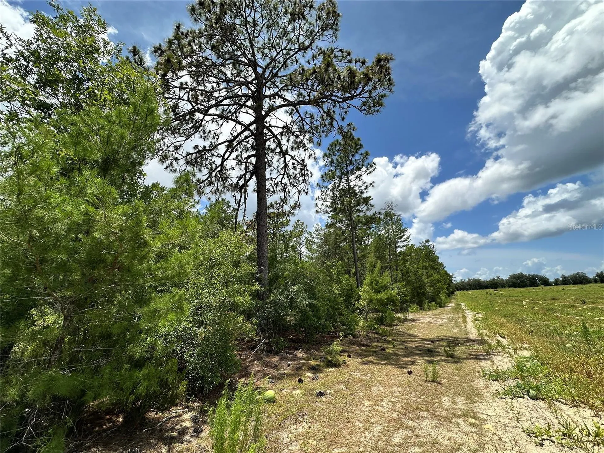 Tbd NE 69th Place Bronson FL 32621