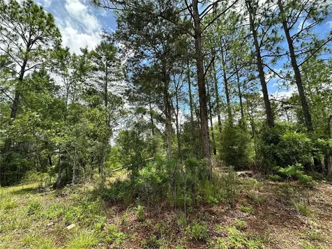 Tbd NE 69th Place Bronson FL 32621