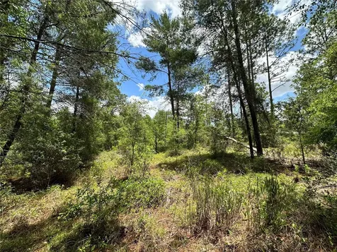 Tbd NE 69th Place Bronson FL 32621