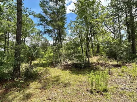 Tbd NE 69th Place Bronson FL 32621