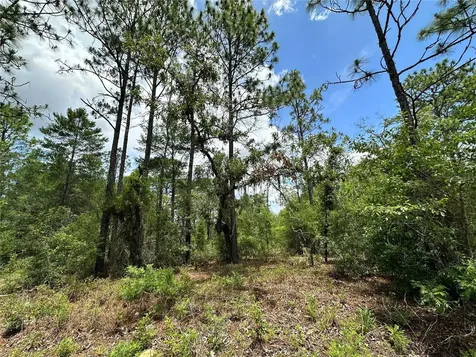 Tbd NE 69th Place Bronson FL 32621