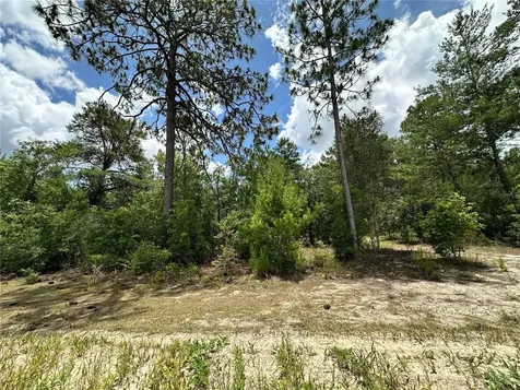 Tbd NE 69th Place Bronson FL 32621