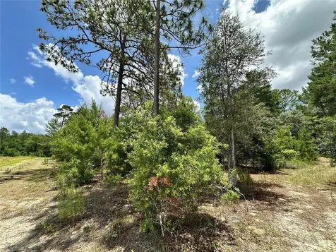 Tbd NE 69th Place Bronson FL 32621