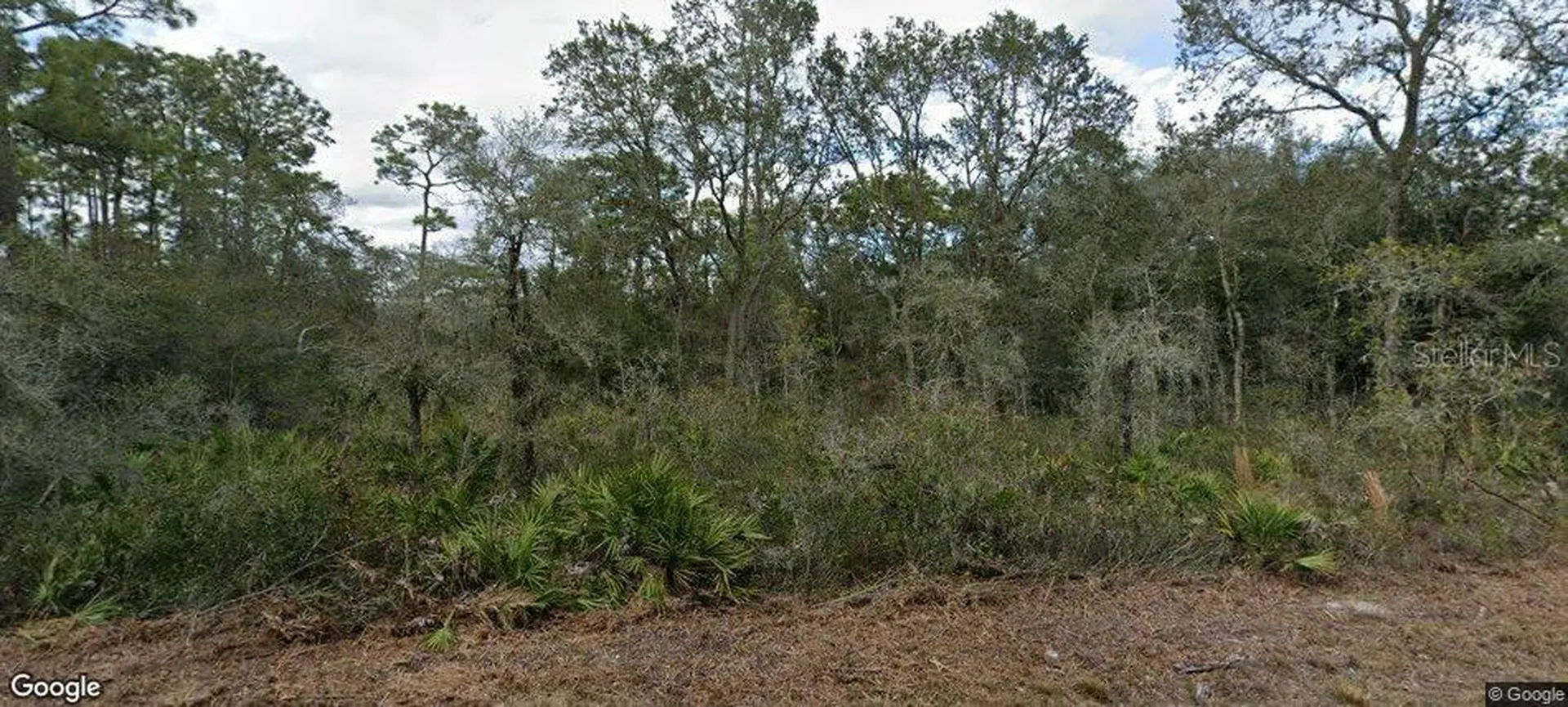 35023 Primrose Lane Webster FL 33597