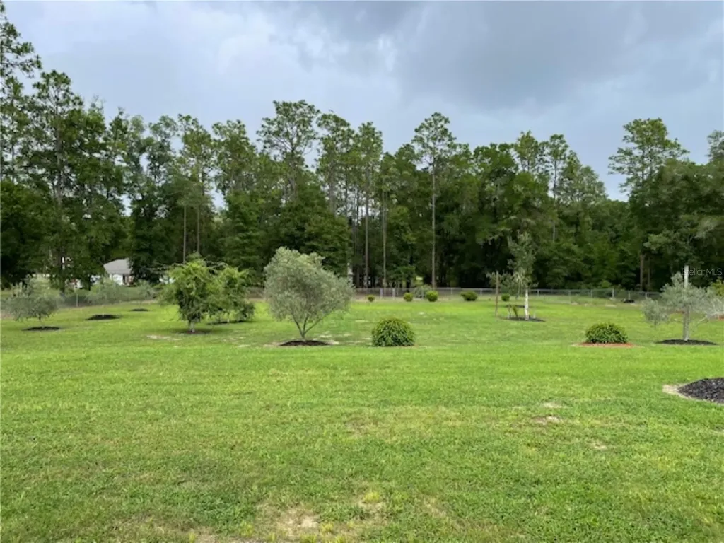 11931 SW 41st Place Ocala FL 34481