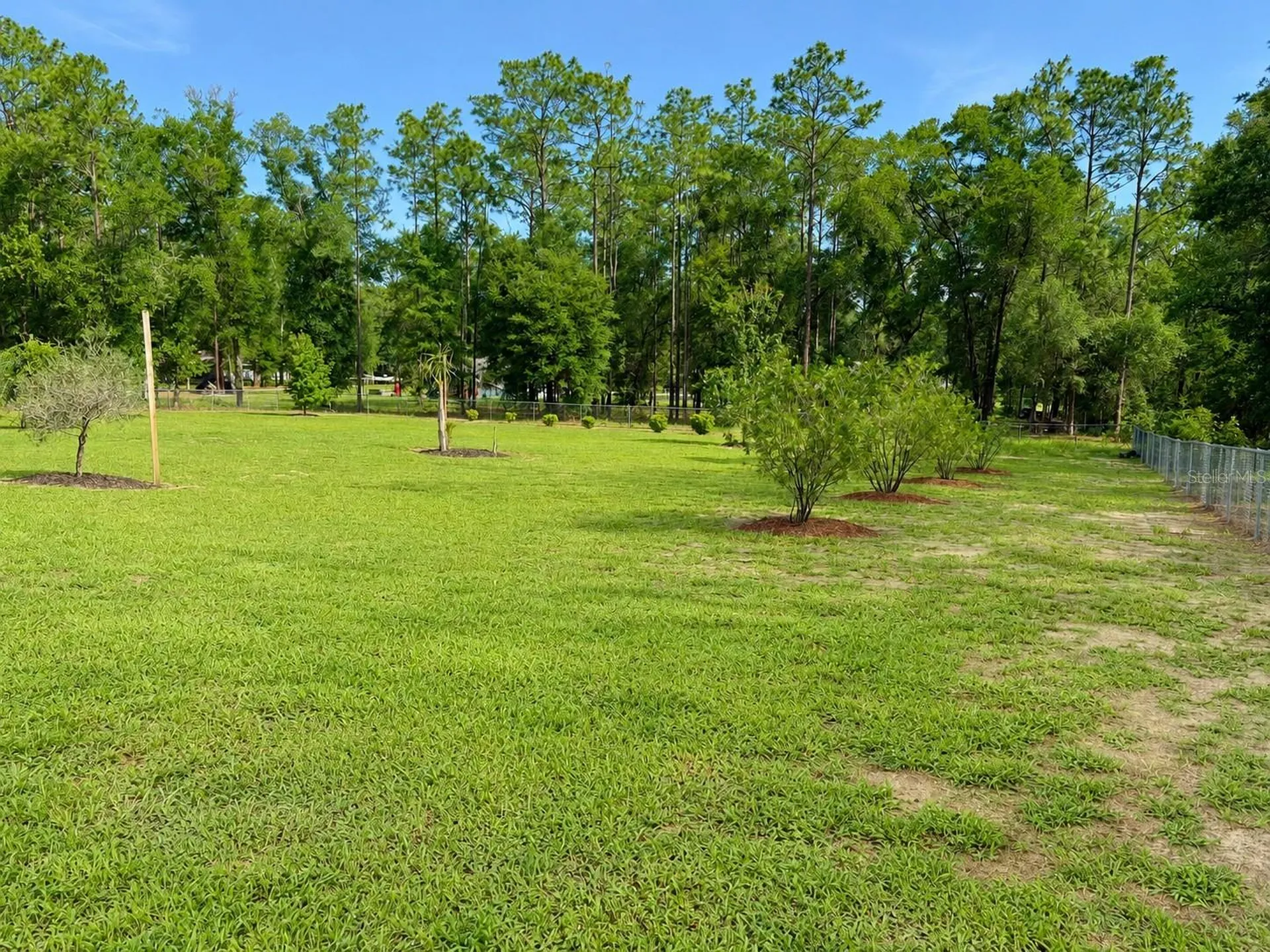 11931 SW 41st Place Ocala FL 34481