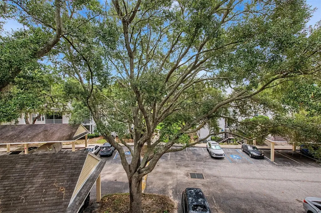 3270 Haviland Court Palm Harbor FL 34684