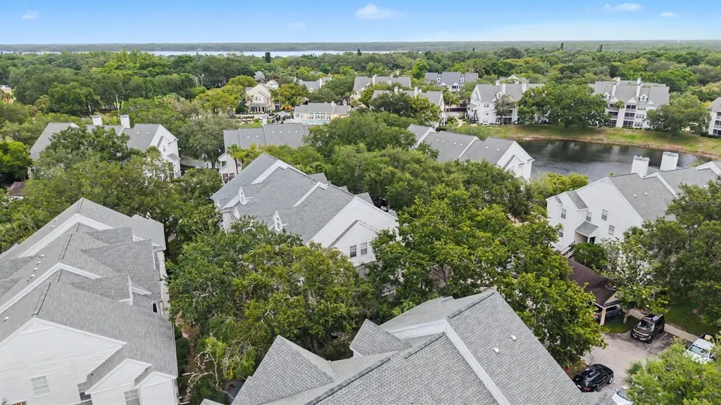 3270 Haviland Court Palm Harbor FL 34684