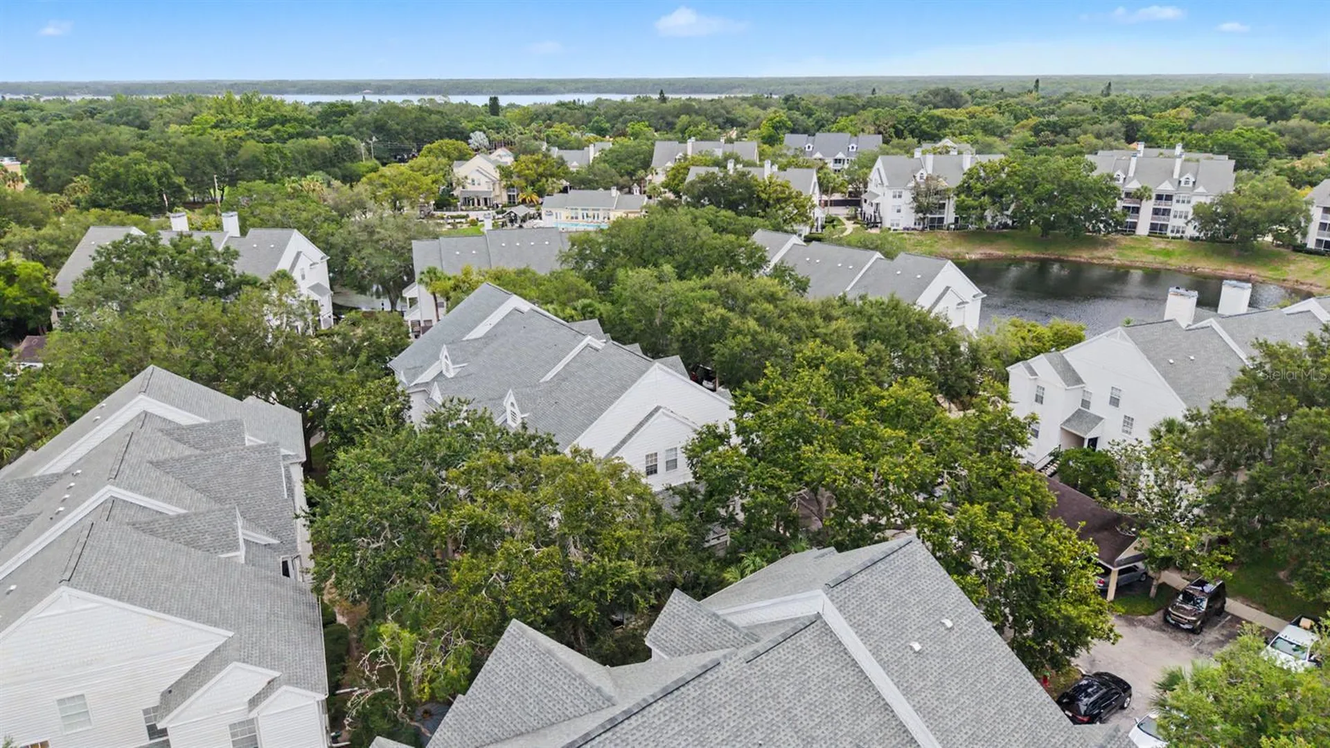 3270 Haviland Court Palm Harbor FL 34684