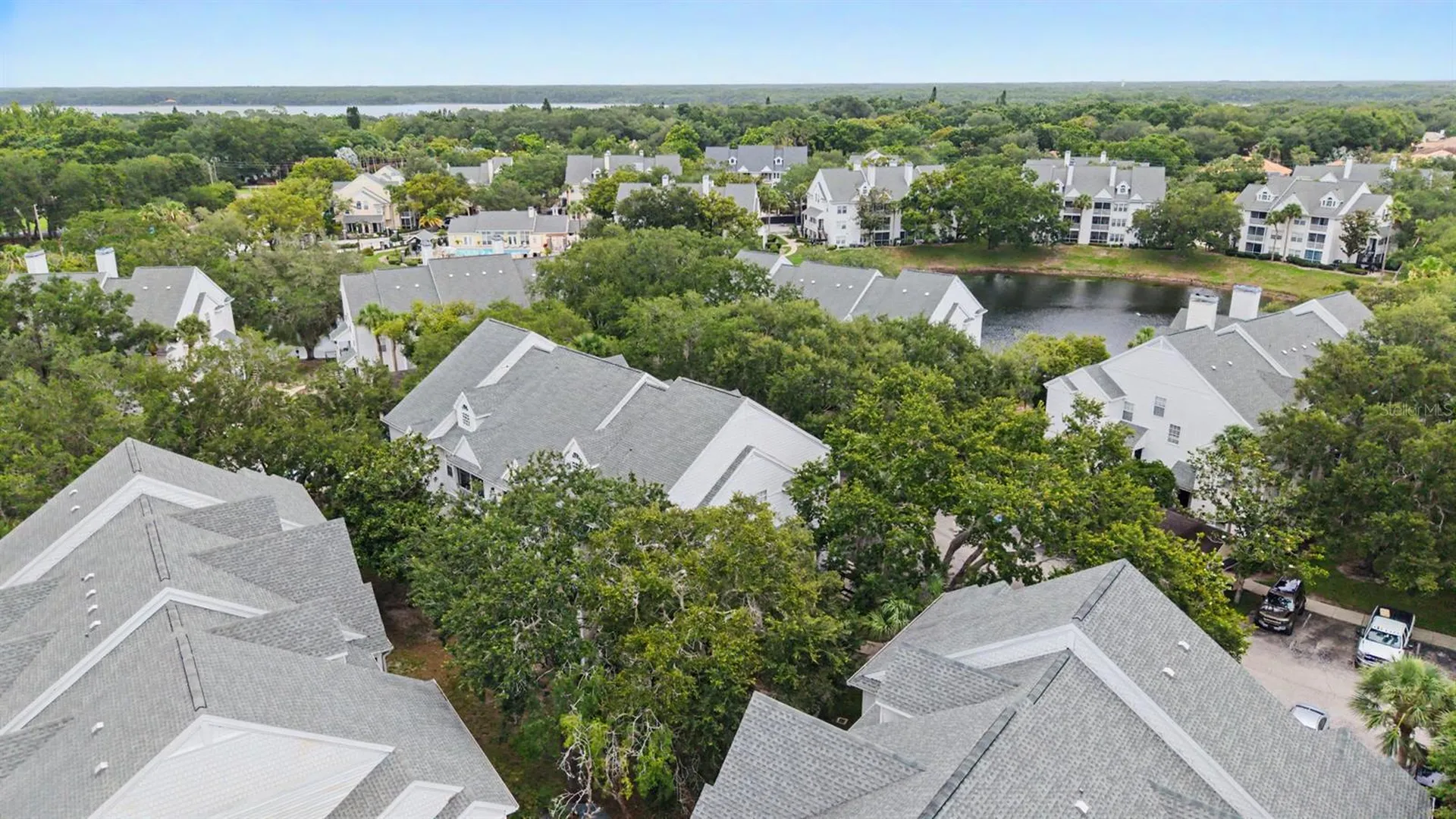 3270 Haviland Court Palm Harbor FL 34684