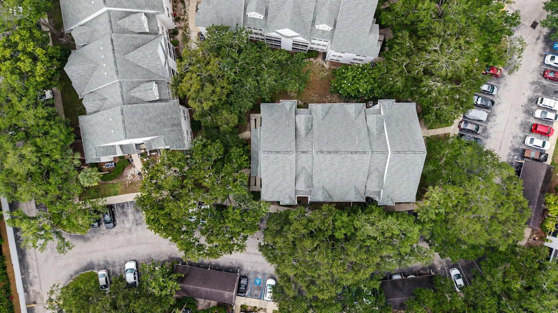 3270 Haviland Court Palm Harbor FL 34684