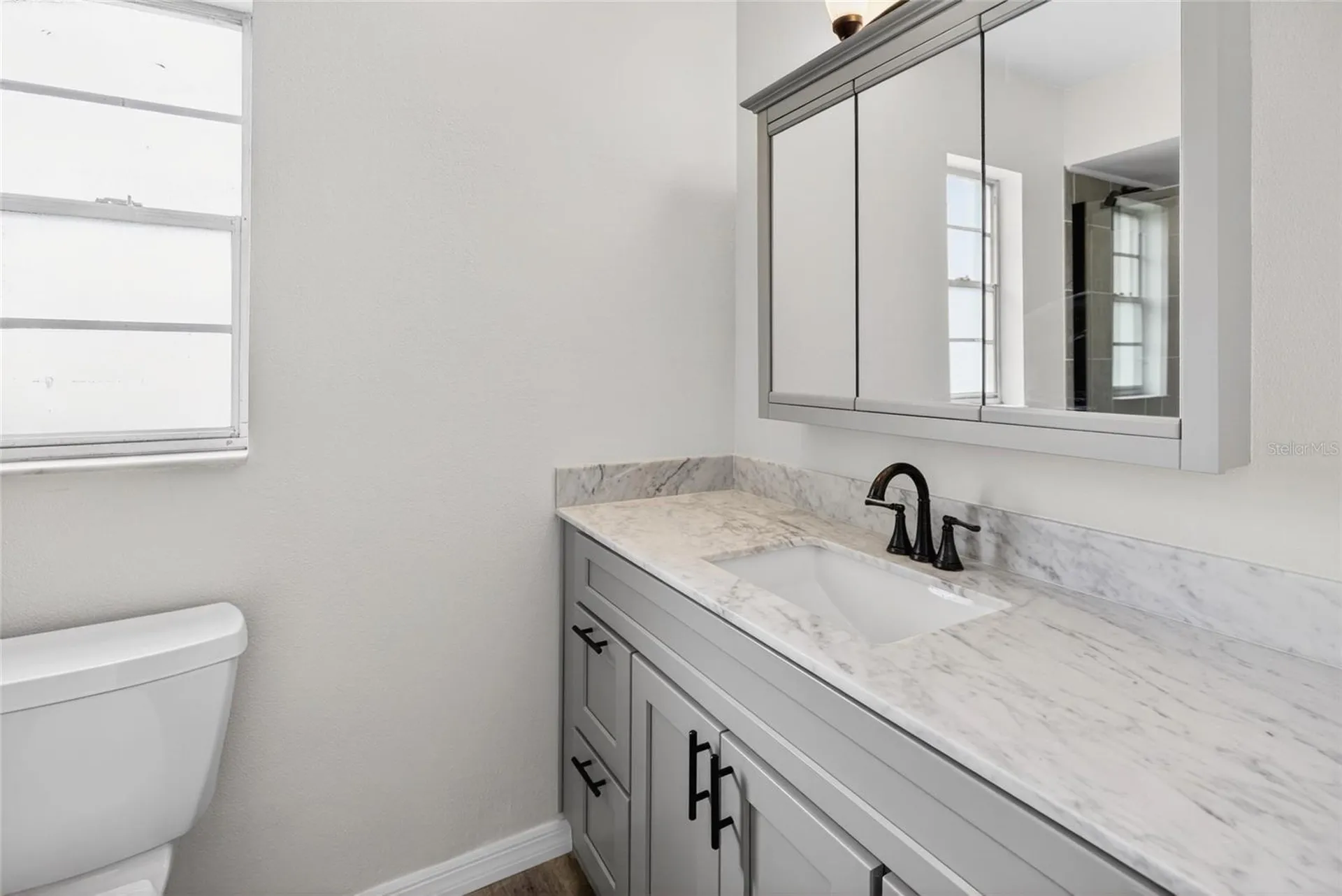 25342 Carnoustie Drive Sorrento FL 32776