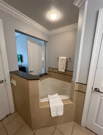 7643 Heritage Crossing Way Reunion FL 34747