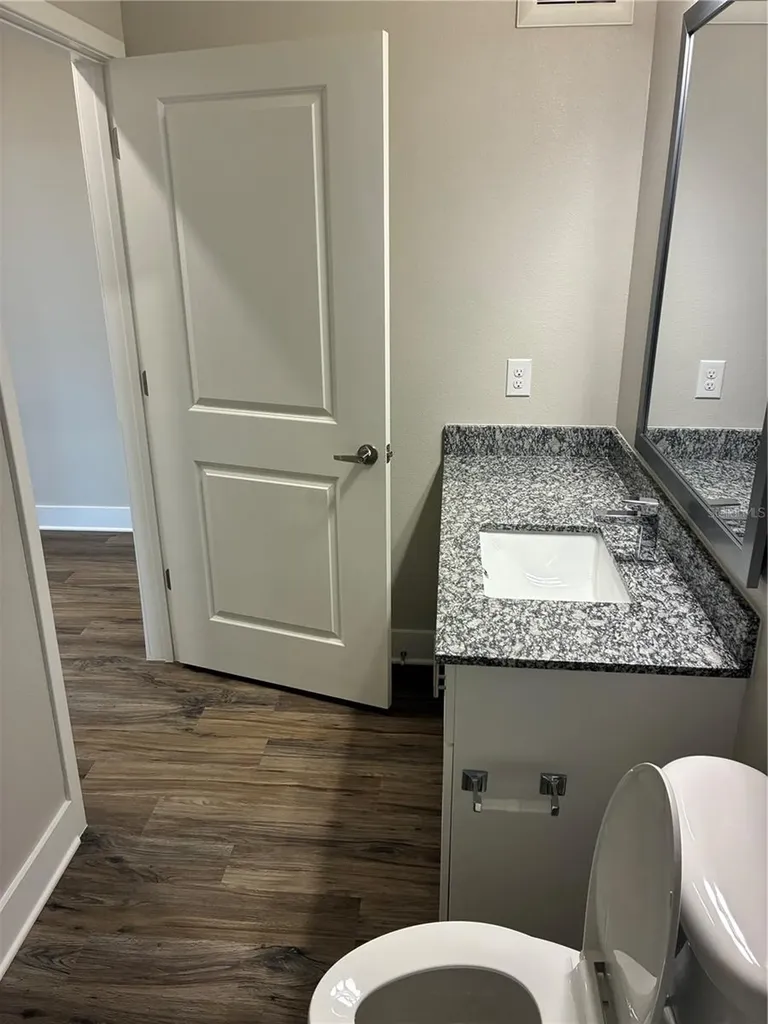 2280 Waterfall Court Mount Dora FL 32757