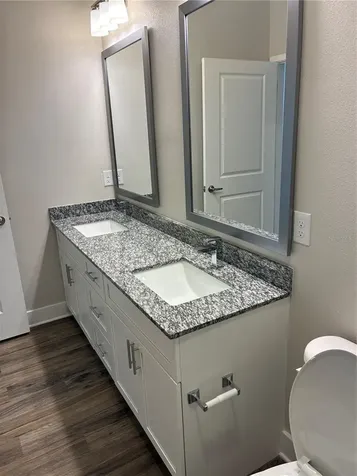 2280 Waterfall Court Mount Dora FL 32757