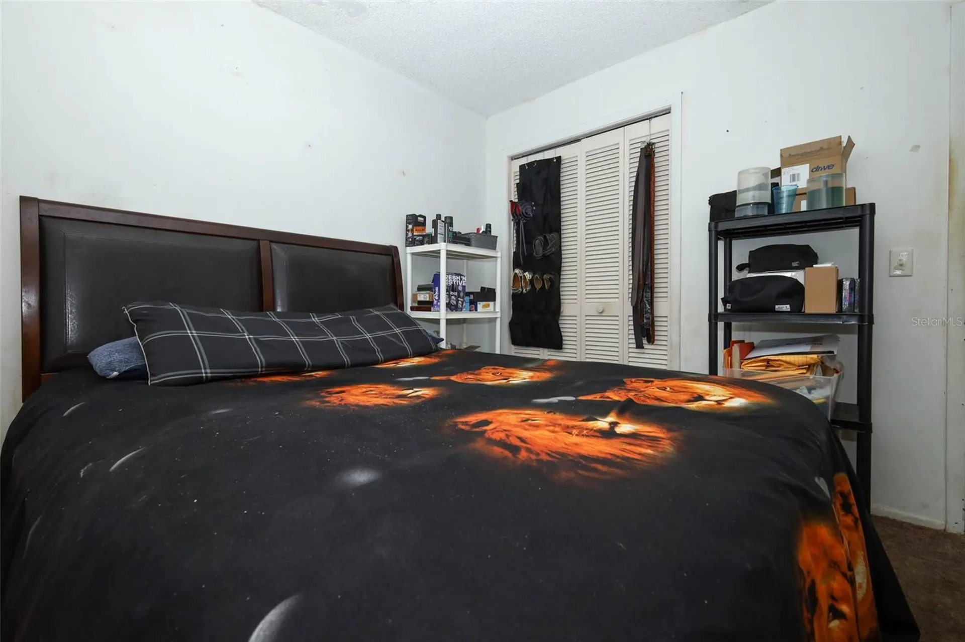 7929 Toler Court Orlando FL 32822