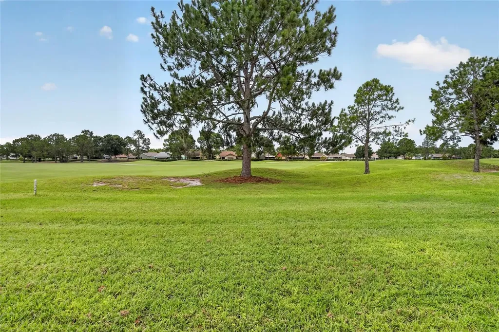 11203 Longbrooke Drive Riverview FL 33579