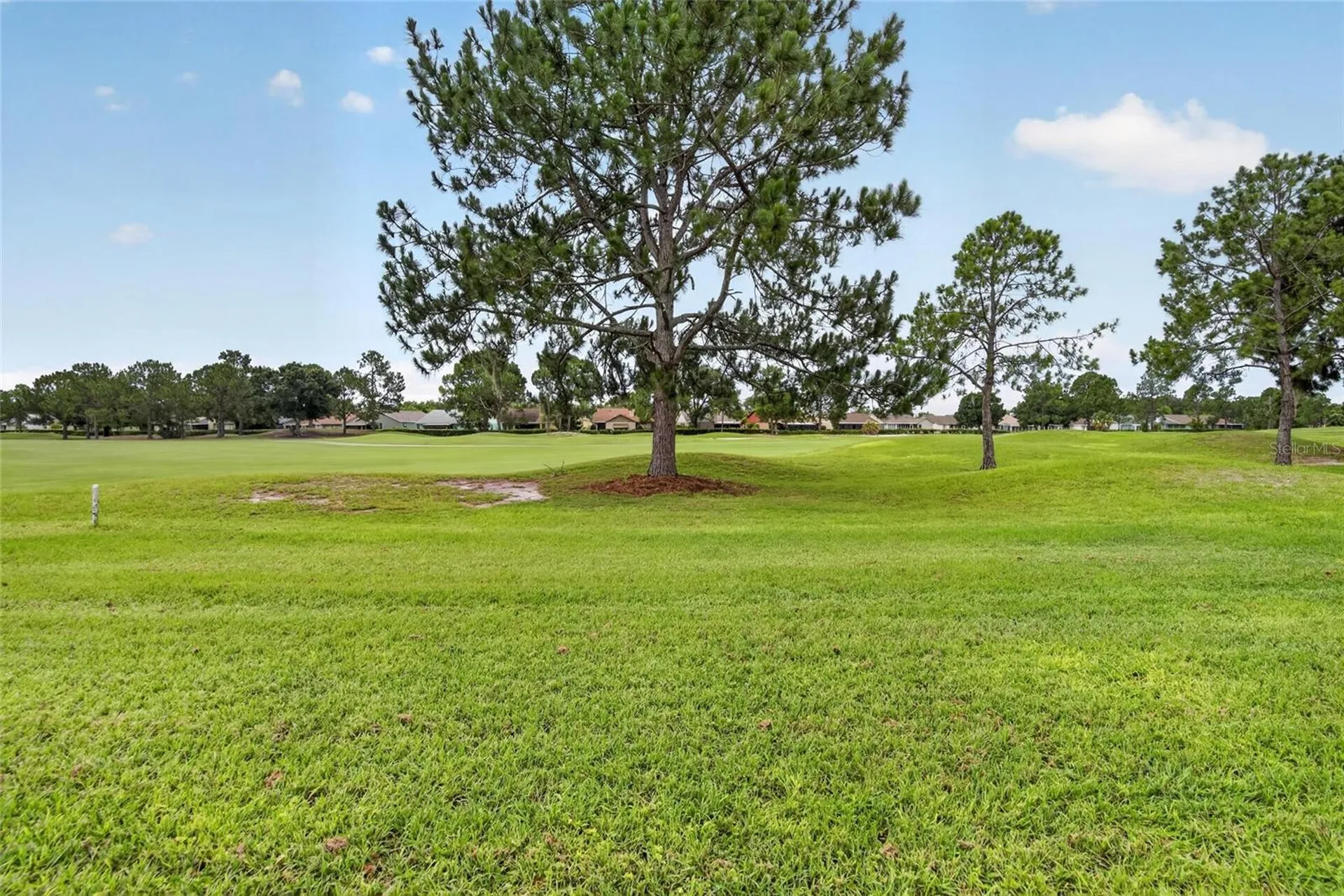 11203 Longbrooke Drive Riverview FL 33579