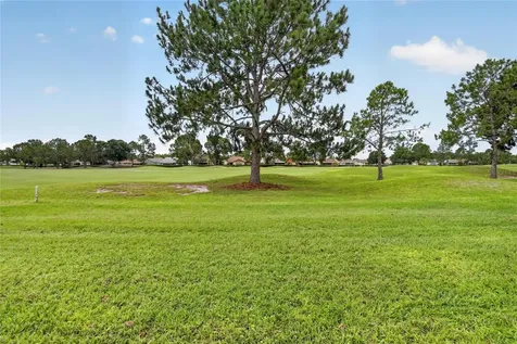11203 Longbrooke Drive Riverview FL 33579
