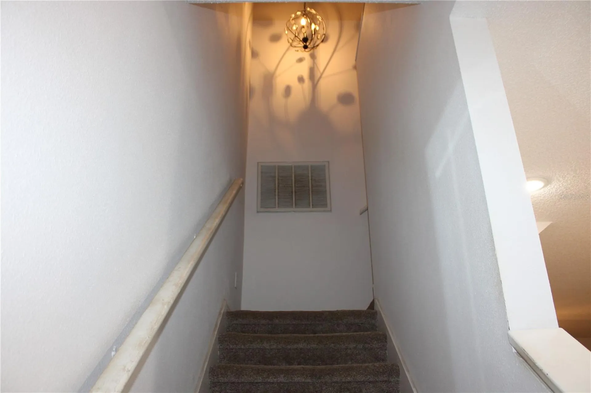 202 Hemingway Drive Oldsmar FL 34677