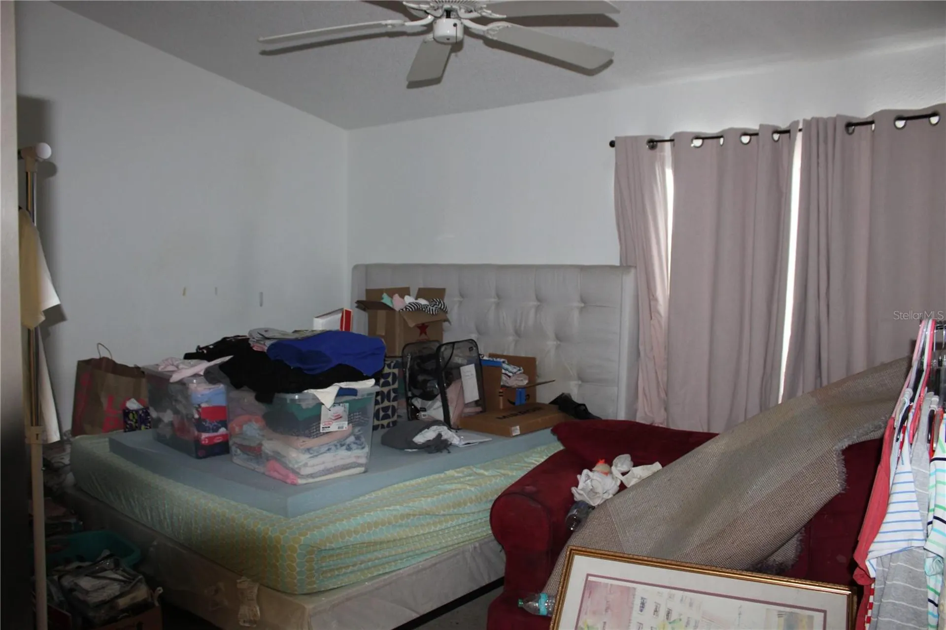 202 Hemingway Drive Oldsmar FL 34677