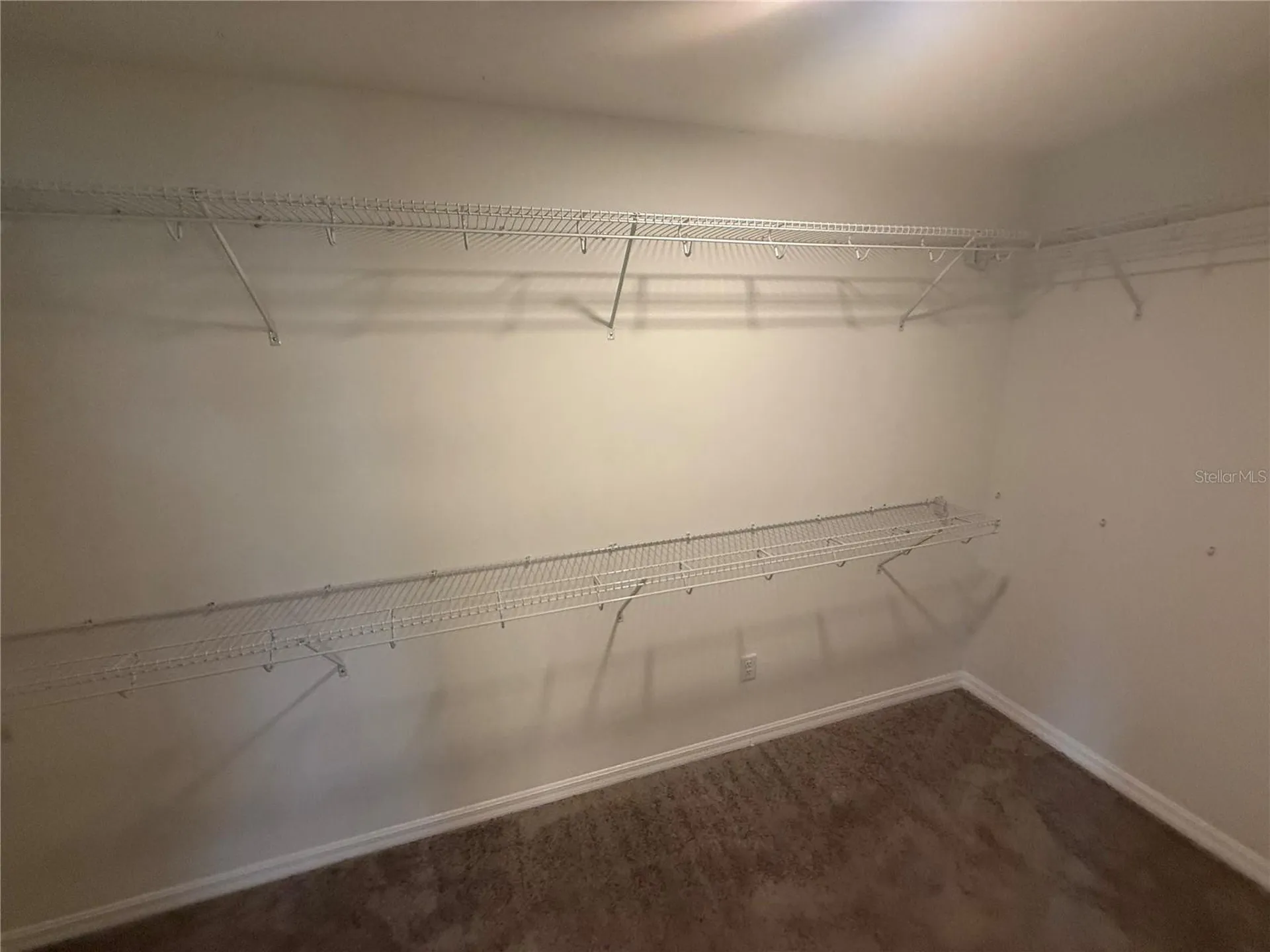 3135 Marine Grass Drive Wimauma FL 33598