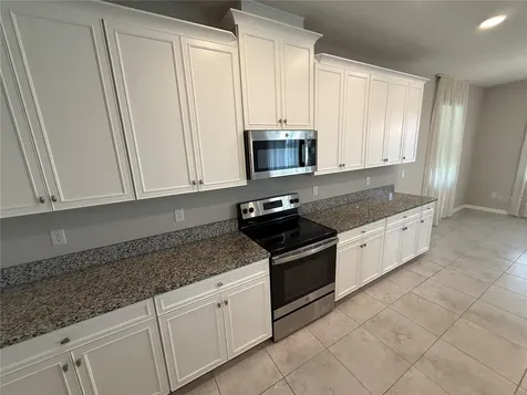 3135 Marine Grass Drive Wimauma FL 33598