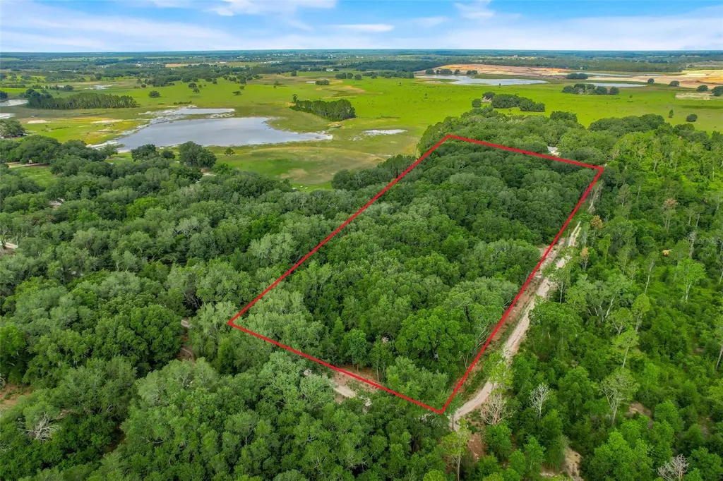 23449 Thomas Allen Road Howey In The Hills FL 34737